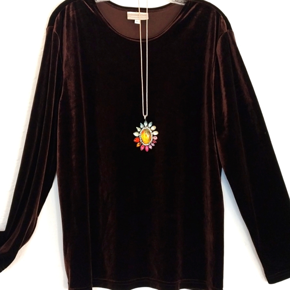 COLDWATER CREEK Brown Velvet Tunic Crew Neck Long Sleeve Top Size Large